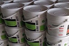 توقیف ۲ برند غیراستاندارد چسب کاشی