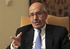 هشدار البرادعی به حکام عرب: طرح ترامپ طرح «تسلیم و ذلت» است نه «صلح»