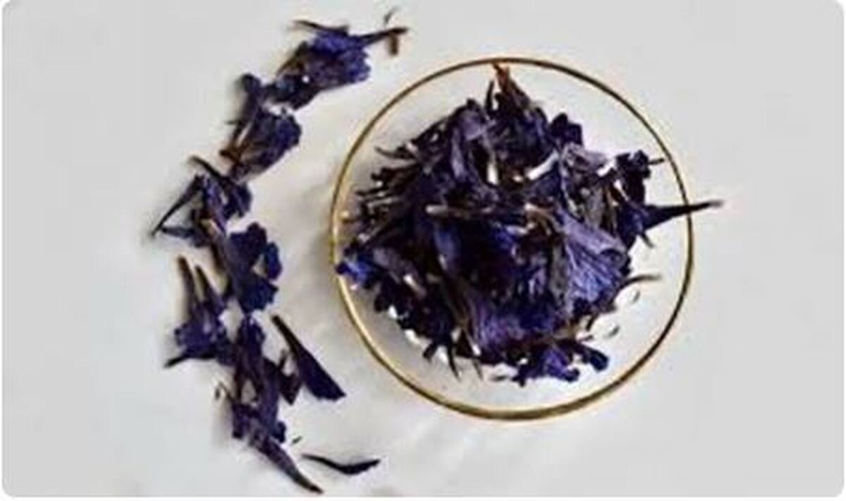 مصرف گل گاو زبان برای این افراد ممنوع است