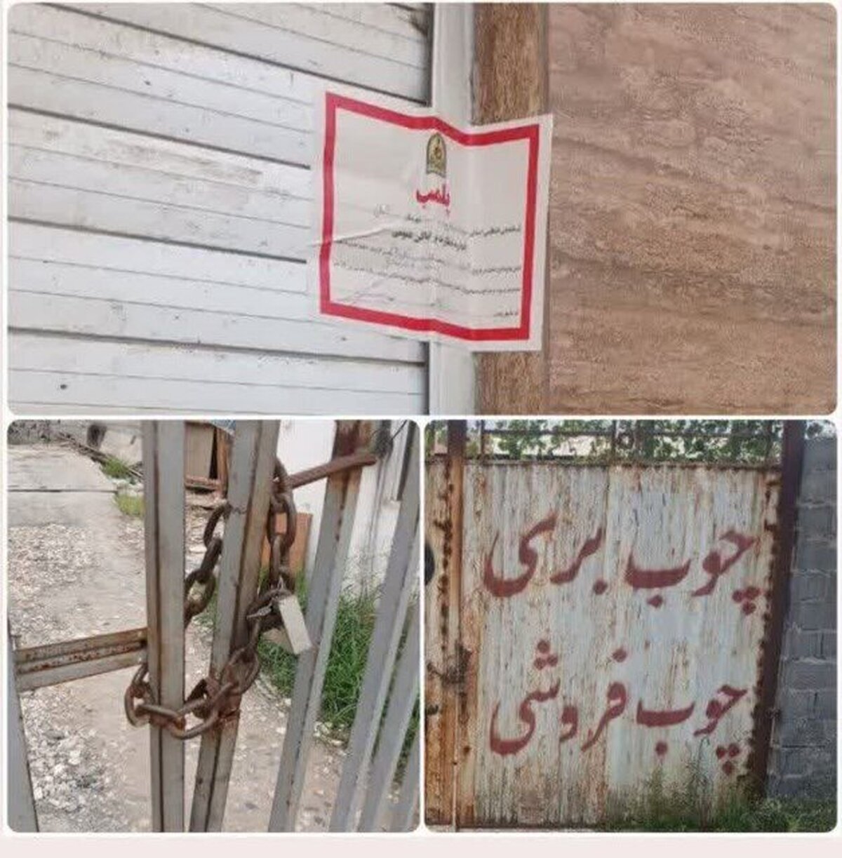پلمب ۵ واحد متخلف چوب‌بری و دپوی چوب در آمل