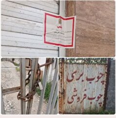پلمب ۵ واحد متخلف چوب‌بری و دپوی چوب در آمل