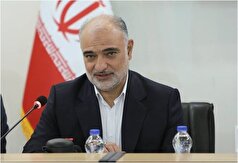 کشت خشخاش در ایران قانونی می‌شود؟