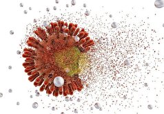 سرطان دهانه رحم مرتبط با انواع پرخطر ویروس HPV!