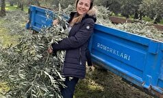 بورجو کارا برند خودش را راه می‌اندازد