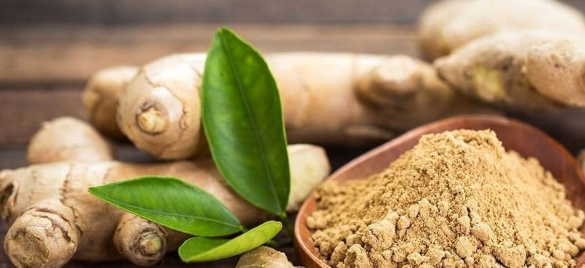 خواص اعجاب انگیز مصرف روزانه «زنجبیل»
