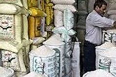 پیش بینی تولید ۱.۸ میلیون تن برنج در سال جاری