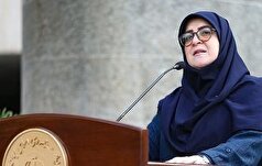 مهاجرانی: برنامه دولت در خصوص مکانیسم ماشه به زودی تصویب خواهد شد