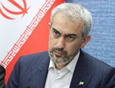 تذکر نمایندگان به وزیر اقتصاد درباره تسهیلات ازدواج و فرزندآوری