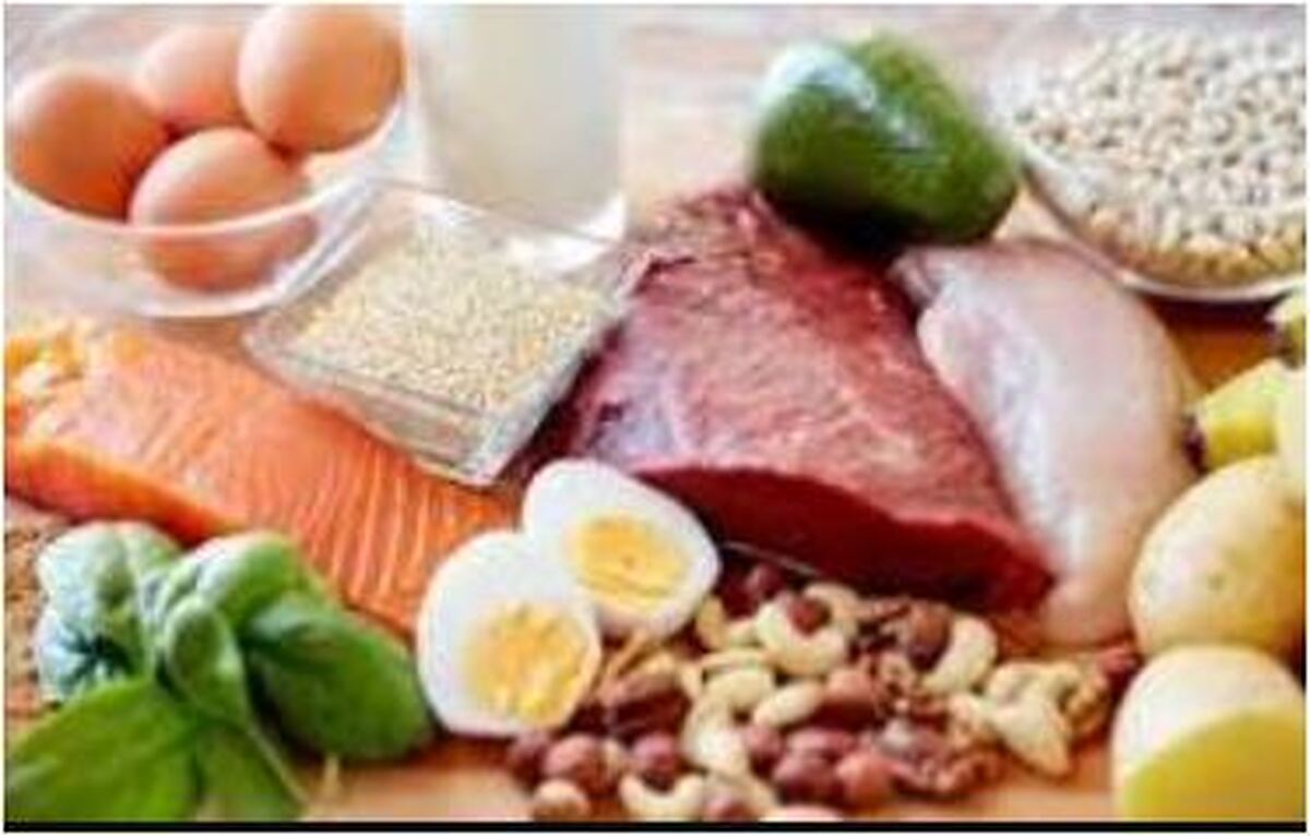 پروتئین مورد نیاز ورزشکاران روزانه چقدر است؟
