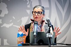 آلبانیز: ناوگان پایداری امتداد تلاشی قانونی برای شکستن محاصره غزه است