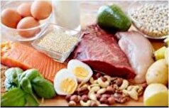 پروتئین مورد نیاز ورزشکاران روزانه چقدر است؟
