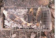نکات طلایی برای طبخ ماهى برشته محبوب قشم