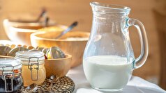 Nature: اسید شیر و گوشت، پاسخ ایمنی در برابر سرطان را تقویت می‌کند