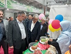 پسته زرندیه می‌تواند به برندی جهانی تبدیل شود