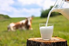 برای پیشگیری از ابتلا به پوکی استخوان چه منابعی باید دریافت کنیم؟