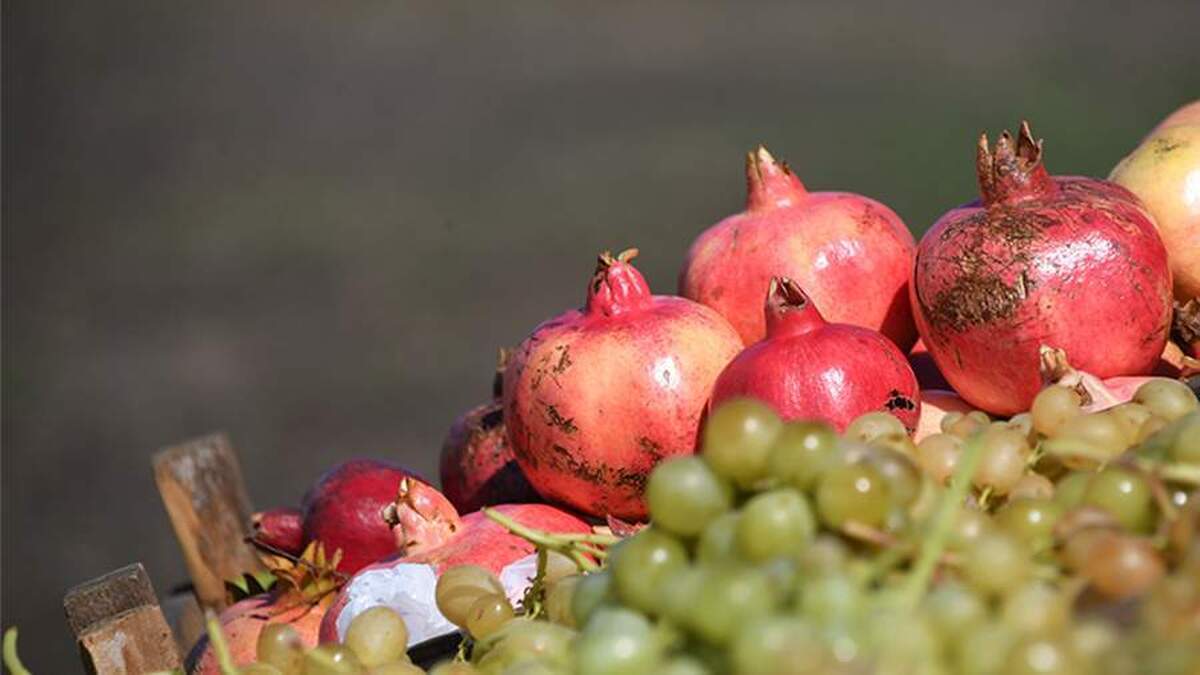 یک پزشک در مورد فواید آب انار برای سلامتی صحبت کرد.