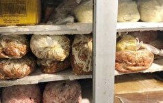 کشف تخلف گسترده در فروشگاه‌های زنجیره‌ای و پروتئینی قرچک