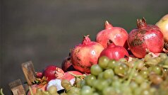 یک پزشک در مورد فواید آب انار برای سلامتی صحبت کرد.