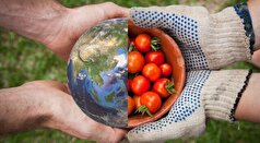 تاب‌آوری نظام غذایی ایران در سه دهه گذشته/ میانگین خودکفایی غذایی کشور حدود ۷۰ درصد