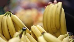 محققان کشف کرده‌اند که موز می‌تواند خواص مفید اسموتی‌ها را از بین ببرد.