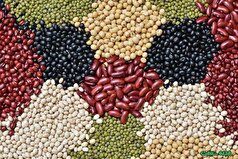 حبوبات در رژیم غذایی سالمندان خطرناک است؟