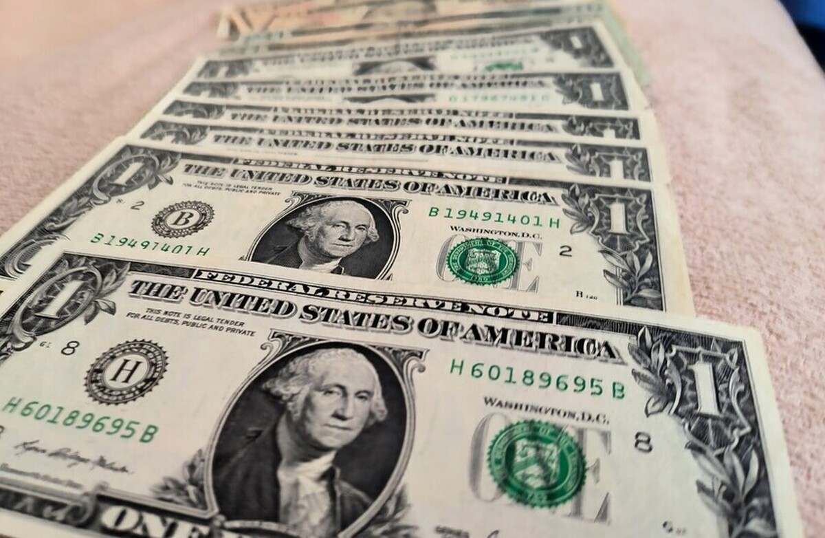 پرتقال‌ها در سطح جهانی بهای این موضوع را می‌پردازند... بنابراین کدام کالا در ماه اکتبر بیشترین سهم را داشت؟