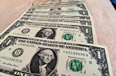 پرتقال‌ها در سطح جهانی بهای این موضوع را می‌پردازند... بنابراین کدام کالا در ماه اکتبر بیشترین سهم را داشت؟