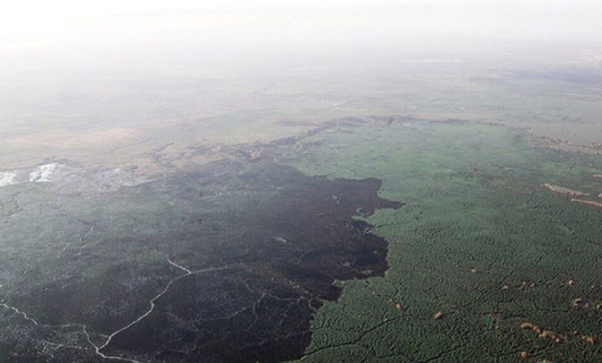 استاندار خوزستان از برنامه هایش برای ایجاد کارگروه ملی برای مهار آتش‌سوزی خبر داد