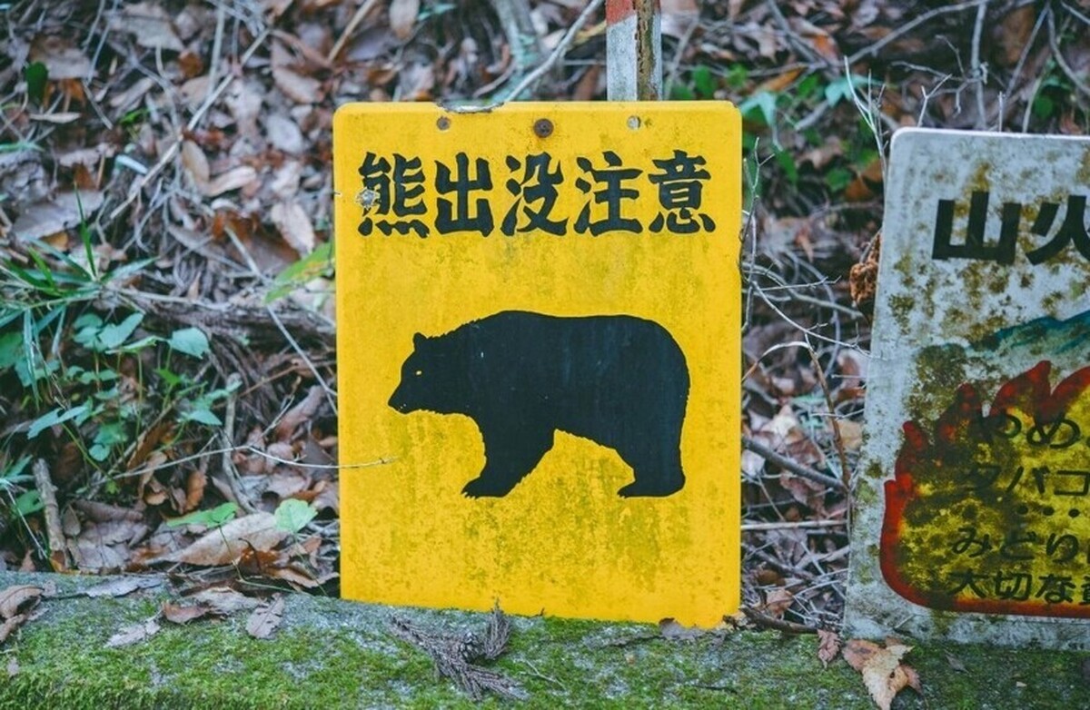 ژاپن نیرو‌های نظامی را برای مقابله با حمله خرس‌ها اعزام می‌کند