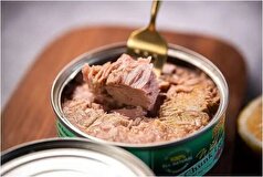 واردات تن ماهی متوقف شد