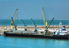 تخلیه ۲۲ هزار تن گندم وارداتی در بندر بوشهر