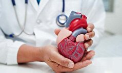 مصرف بیش از حد گوشت قرمز احتمال ضخیم شدن دیواره‌های یک شریان اصلی در قلب را افزایش می‌دهد