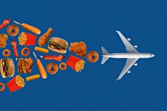 پسماند‌های غذا به سوخت هواپیما تبدیل می‌شوند