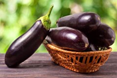 خواص باور نکردنی بادمجان برای حیاتی‌ترین اعضای بدن