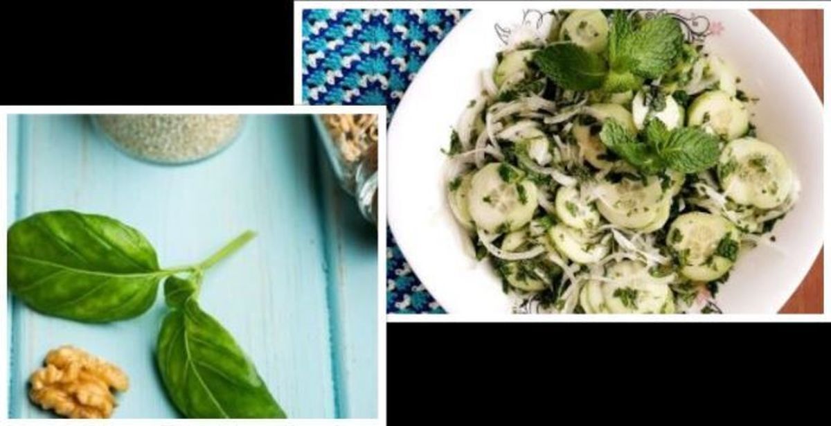 با فواید بی نظیر این سالاد خوشمزه با ترکیب نعنا و گردو آشنا شوید