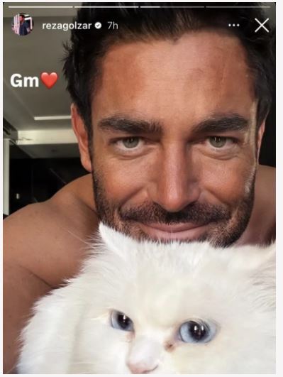 چشمای رنگی محمدرضا گلزار و گربه اش هر بینندهای رو به ذوق میاره+عکس چشمای رنگی محمدرضا گلزار و گربه اش هر بینندهای رو به ذوق میاره+عکس