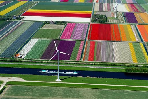 معرفی چند کشور امن در سال ۲۰۲۶ برای تجربه یک سفر آرام و دلپذیر معرفی چند کشور امن در سال ۲۰۲۶ برای تجربه یک سفر آرام و دلپذیر