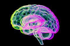 علت جدیدی برای زوال شناختی و آسیب مغزی کشف شد