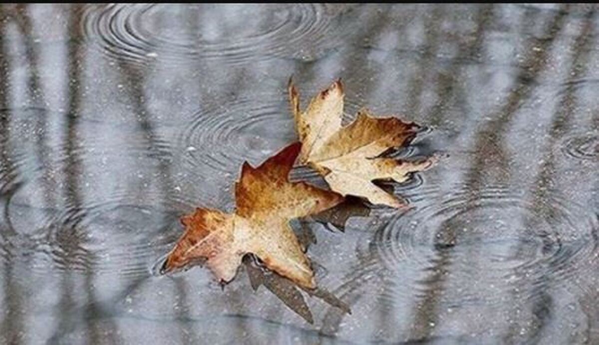 هشدار هواشناسی گلستان درباره بارش باران، مه و کاهش دما