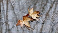 هشدار هواشناسی گلستان درباره بارش باران، مه و کاهش دما