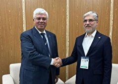 رایزنی علمی وزیر علوم با وزرای مصر و نیجریه