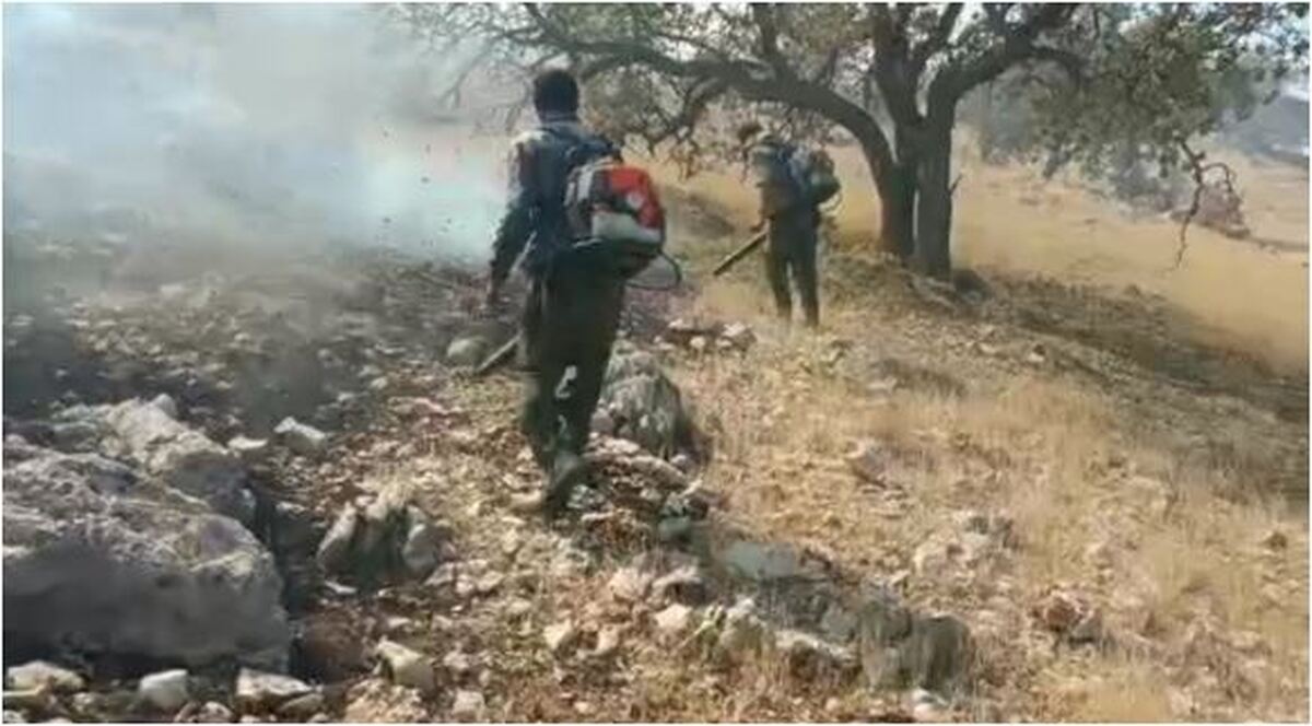 در مهارآتش سوزی هلی کوپتر هوانیروز سپاه پاسداران به کمک طبیعت دوستان آمد