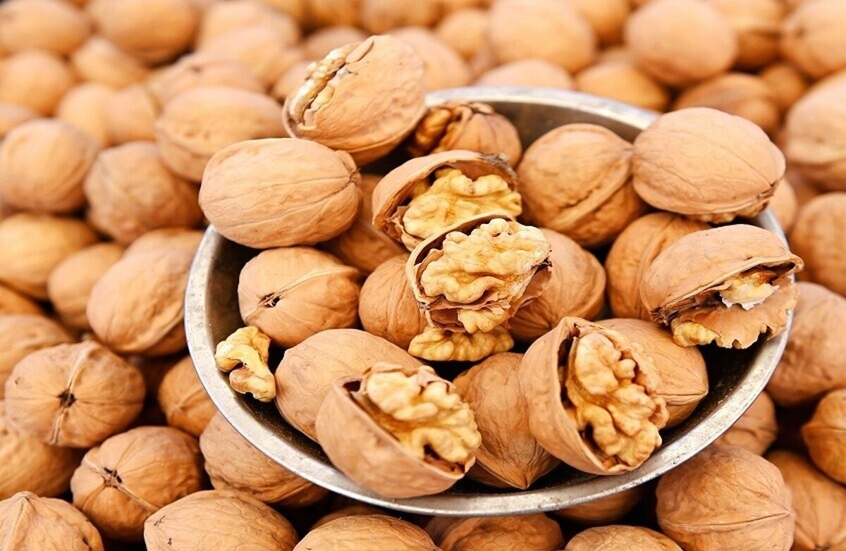 پنج دلیل برای اینکه گردو برای یک سبک زندگی سالم ضروری است