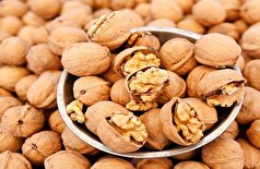 پنج دلیل برای اینکه گردو برای یک سبک زندگی سالم ضروری است