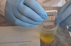 روسیه: یک حسگر نوری جدید امکان تجزیه و تحلیل آسان محتوای سرب را بدون نیاز به آزمایشگاه فراهم می‌کند