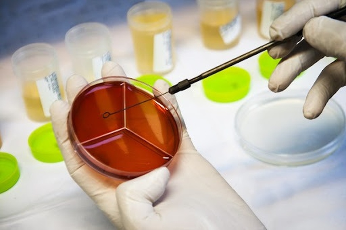 سلول‌های بنیادی، امیدی تازه برای درمان مشکلات ناباروری