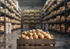 برنامه‌ریزی برای افزایش یک میلیون تنی ظرفیت صنایع تبدیلی کرمانشاه