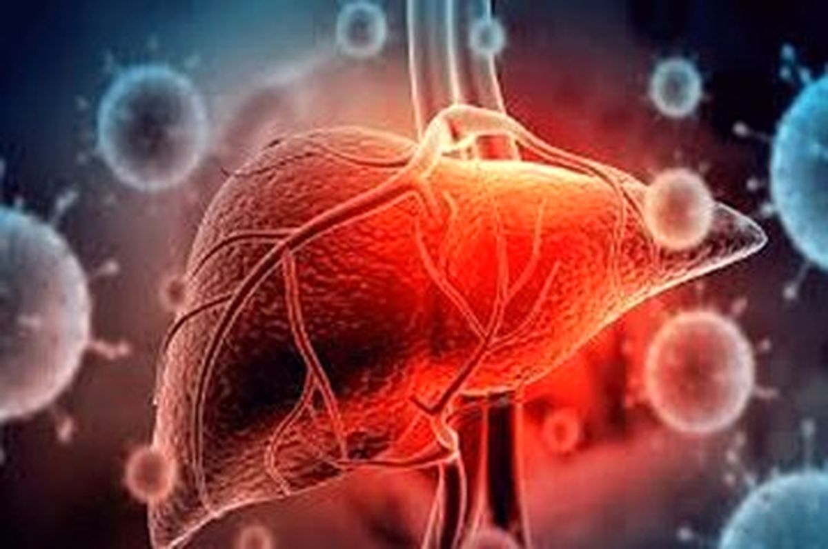 به کمک این میوه دوست دار کبد، سلامت این عضو مهم را تضمین کنید