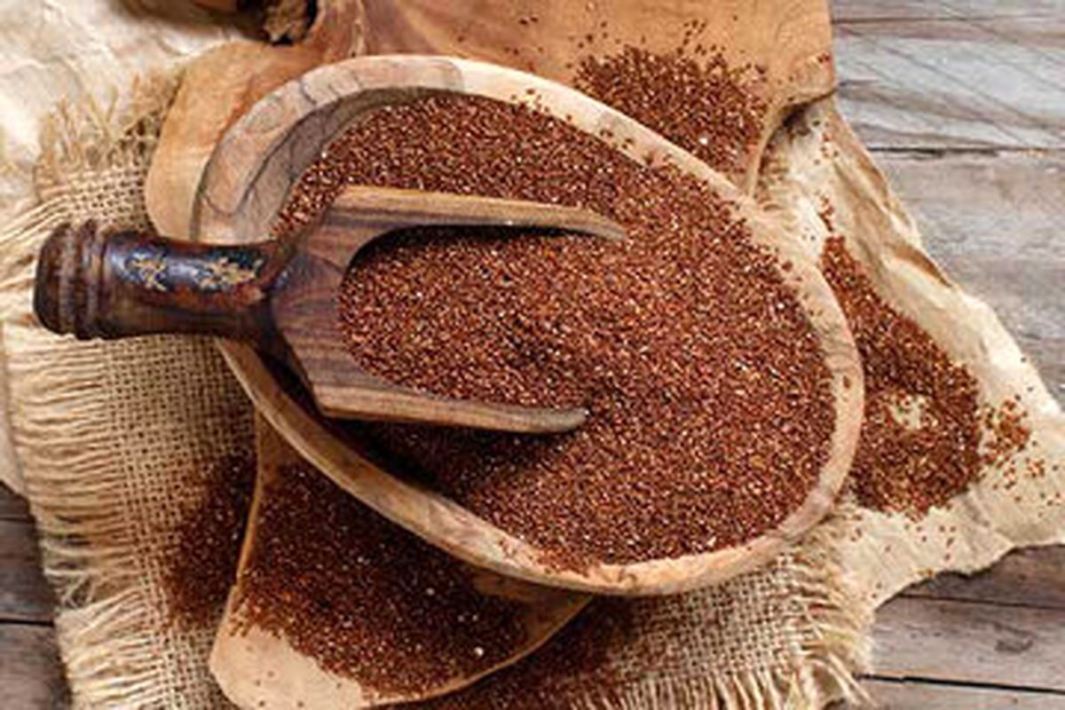 ۸ فایده باور نکردنی مصرف «خاکشیر»