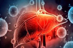 به کمک این میوه دوست دار کبد، سلامت این عضو مهم را تضمین کنید